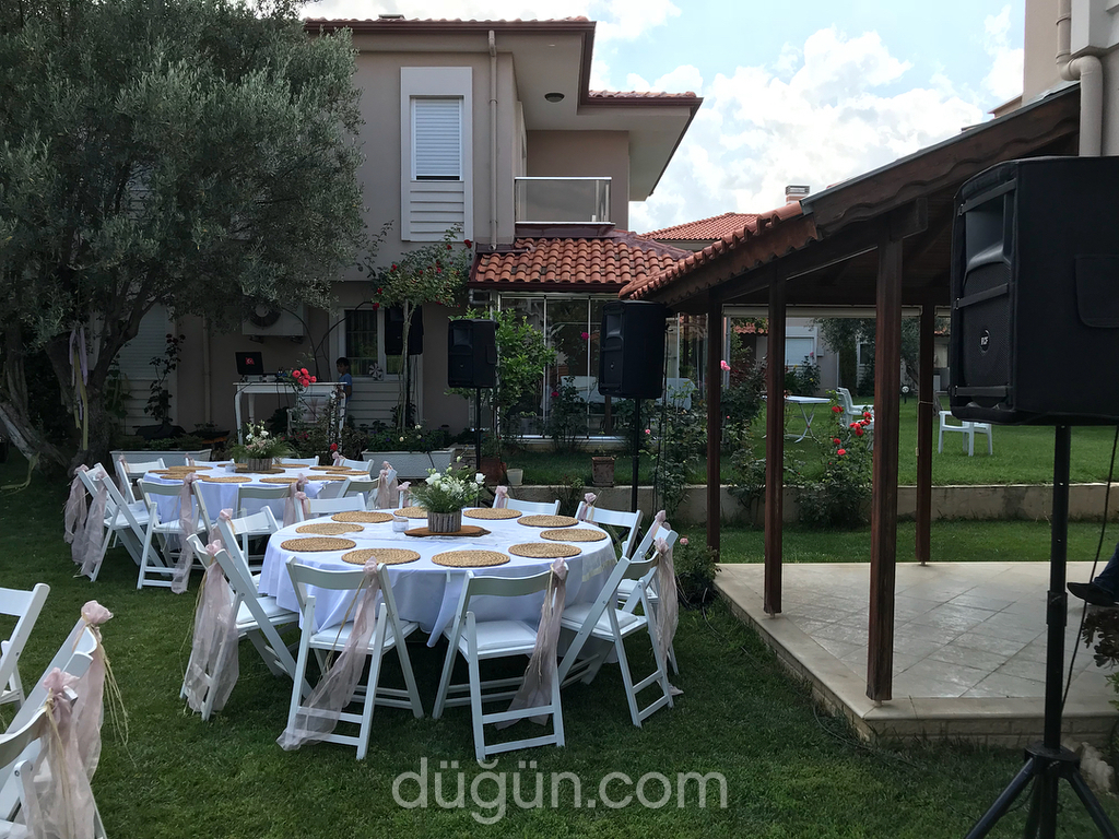 Fenomen Organizasyon