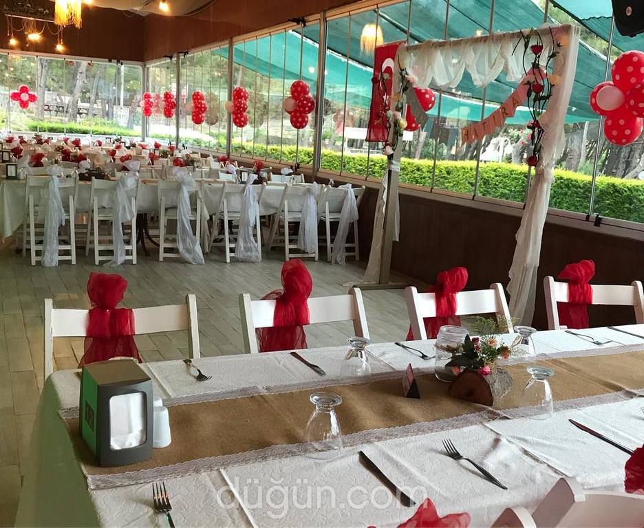 Fenomen Organizasyon