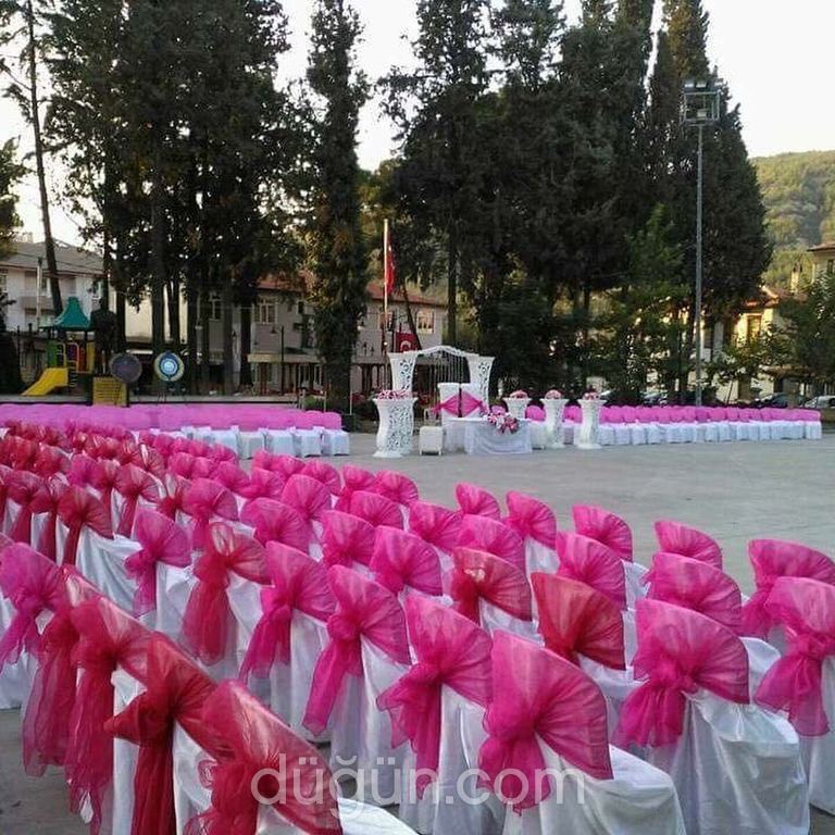 Fenomen Organizasyon