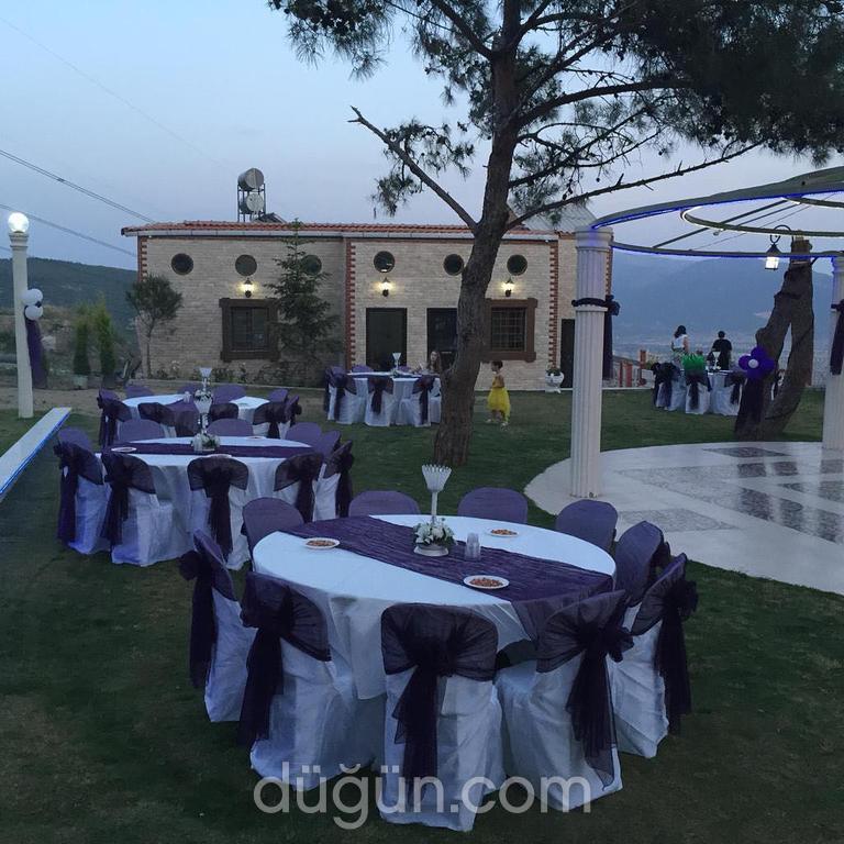 Fenomen Organizasyon