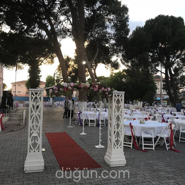 Fenomen Organizasyon