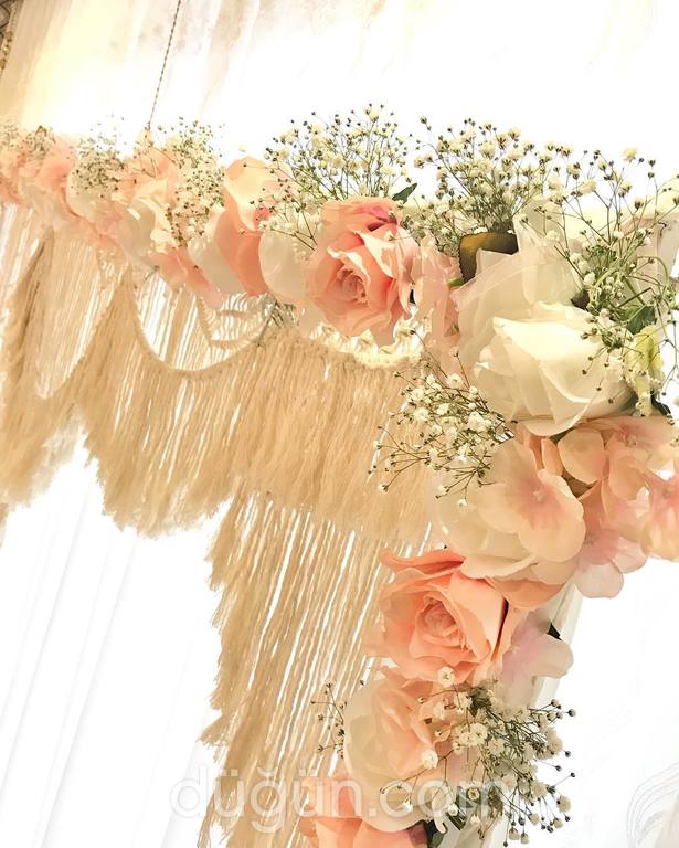 T&G Organization and Event