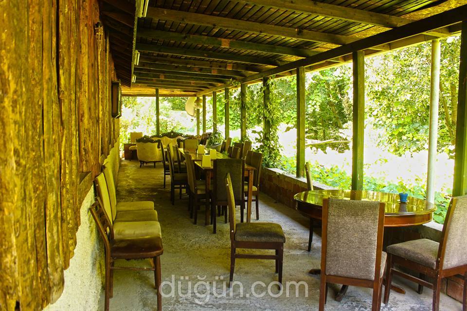 Yeşil Vadi Alabalık Tesisleri