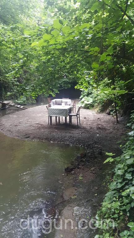 Yeşil Vadi Alabalık Tesisleri