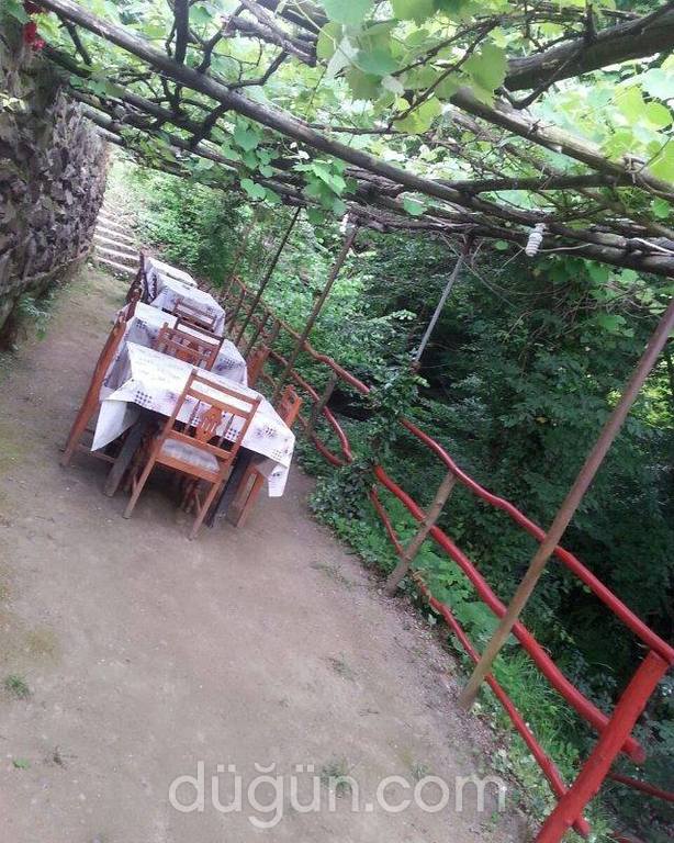 Yeşil Vadi Alabalık Tesisleri