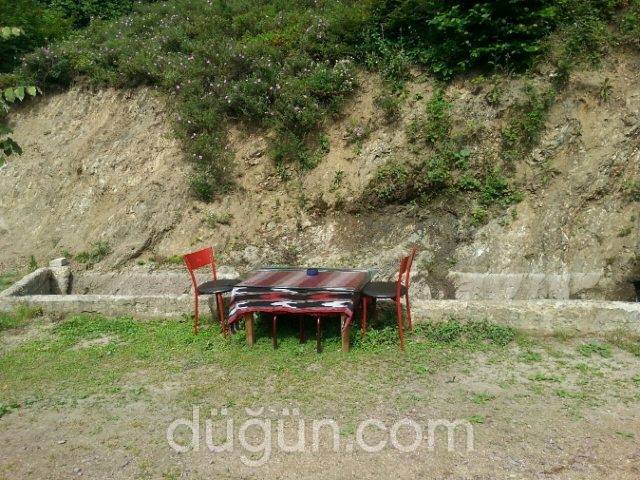 Yeşil Vadi Alabalık Tesisleri