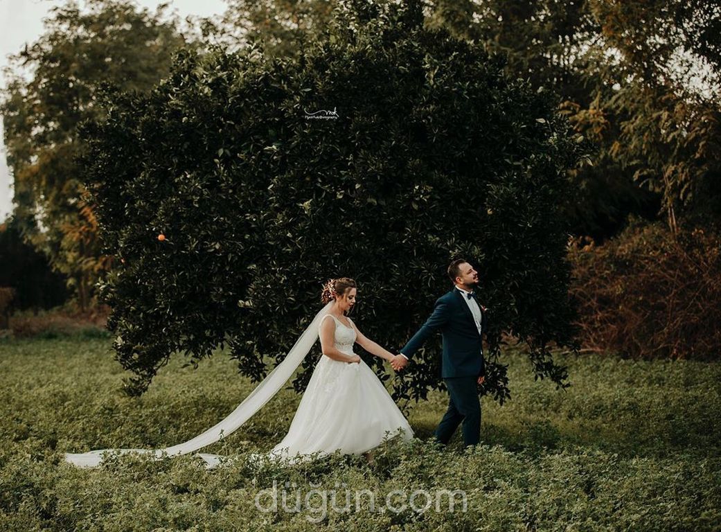 Murat Kula Photography