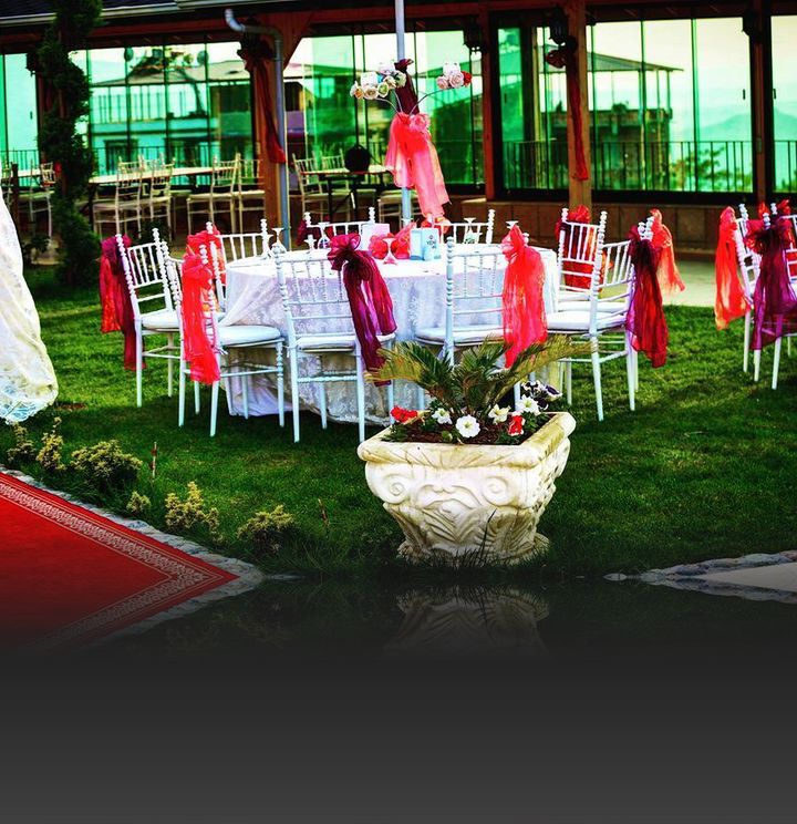 Palmiye Park Kır Bahçesi