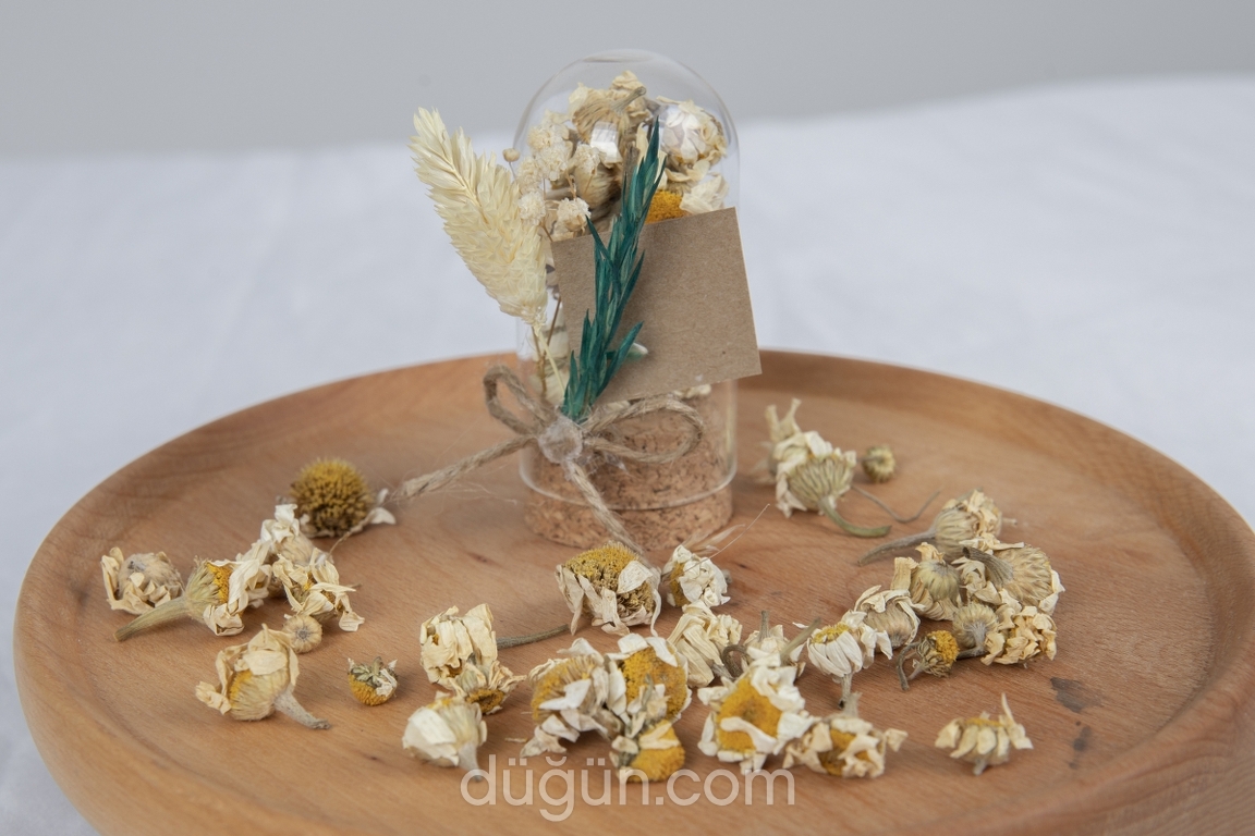 Bir Eylül Tasarımı