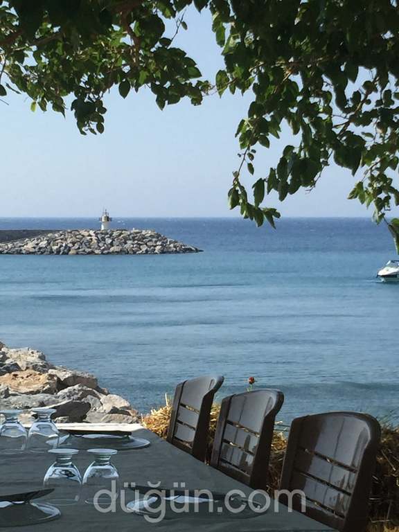 Aziz & Fatma Bacı'nın Yeri