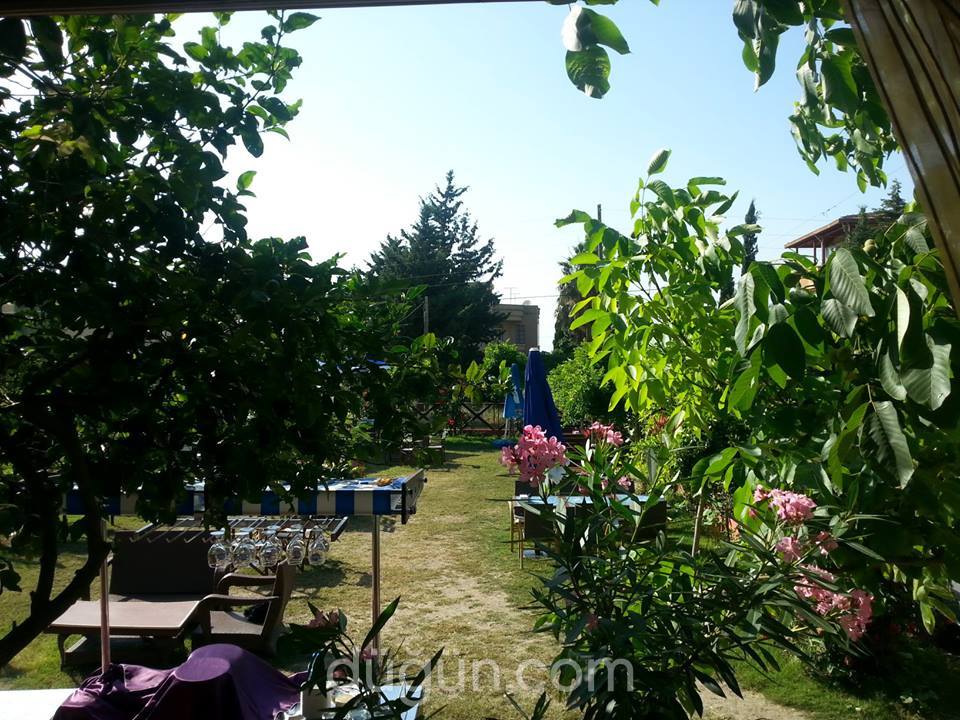 Drey Restaurant