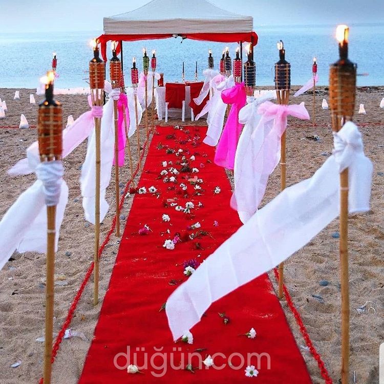 Masal Kır Düğünü