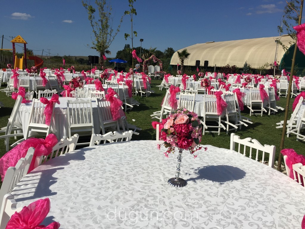 Bir Etkinlik Organizasyon