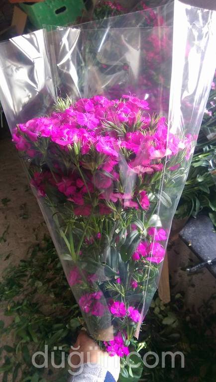 Salman Çiçekçilik