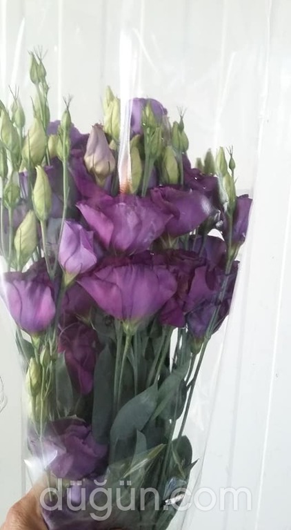 Salman Çiçekçilik