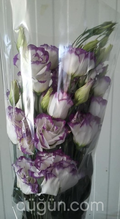 Salman Çiçekçilik