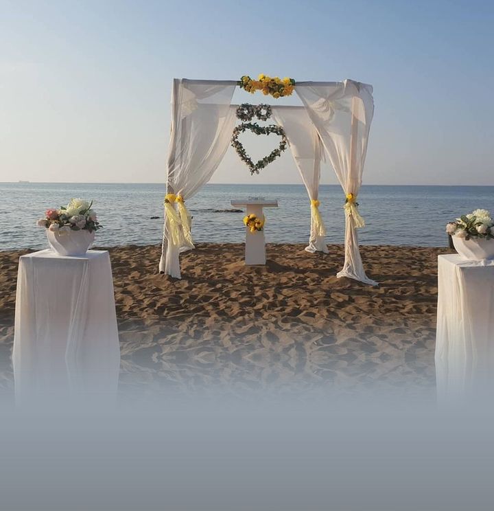 Divinya Organizasyon