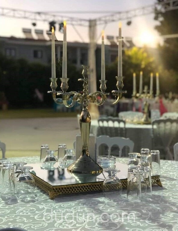 Divinya Organizasyon