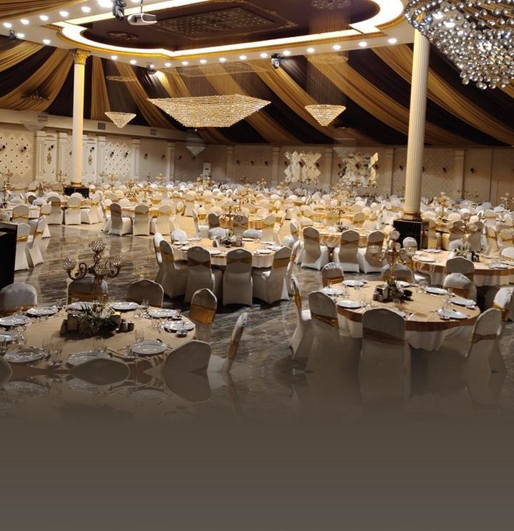 Zeytin Organizasyon