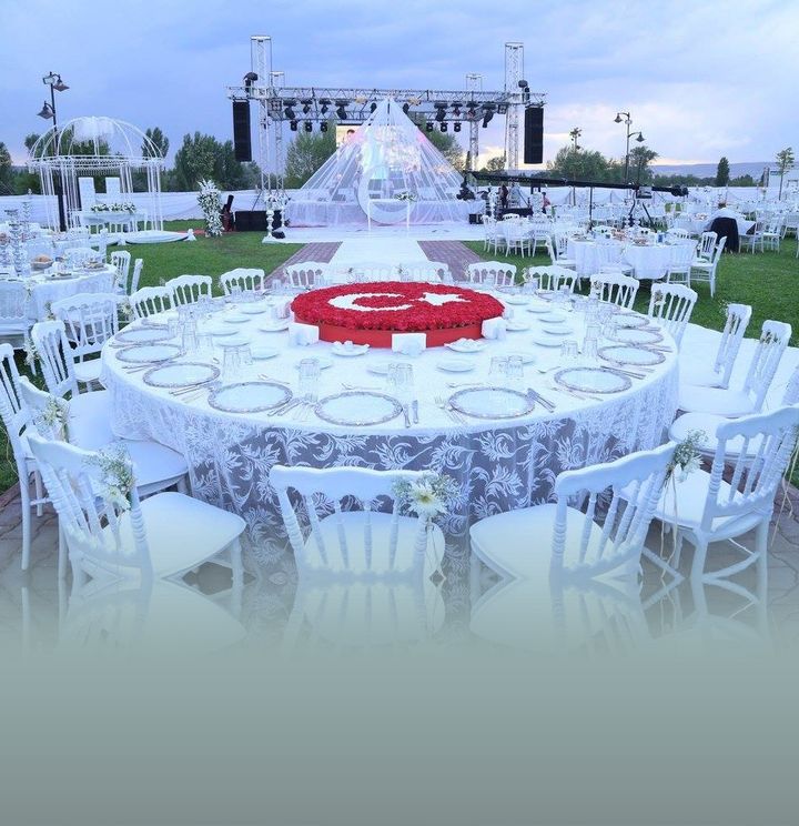 Zeytin Organizasyon