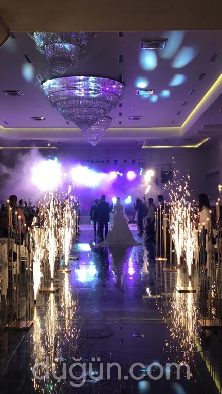 Zeytin Organizasyon