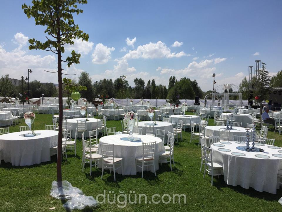 Zeytin Organizasyon