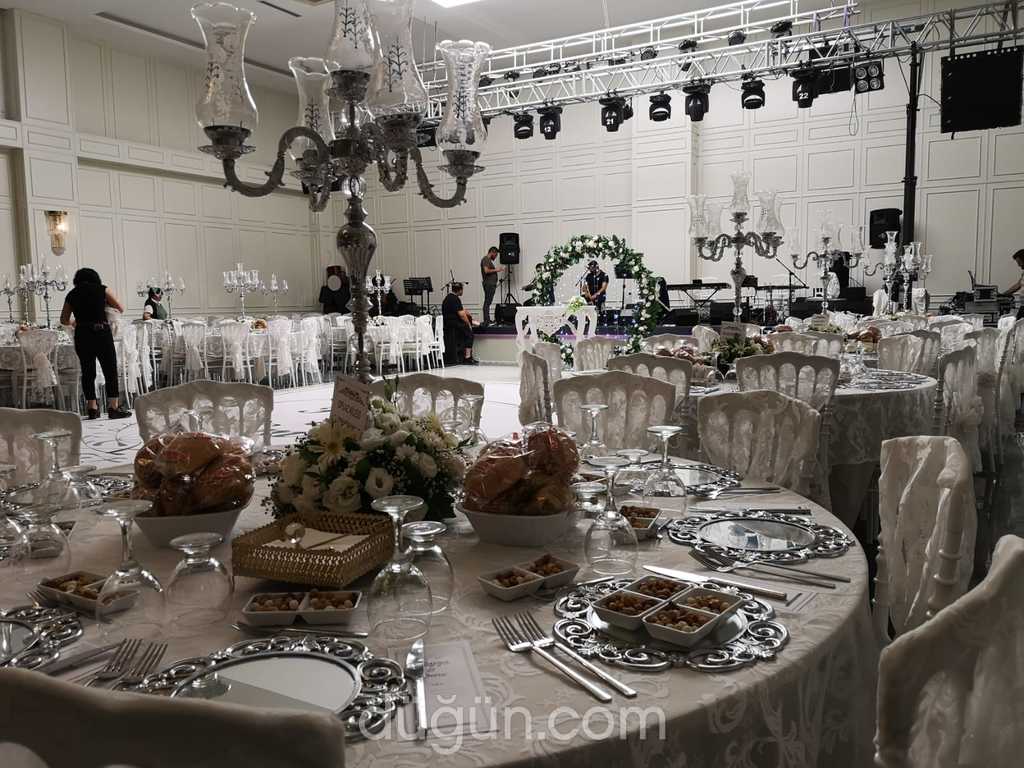 Zeytin Organizasyon