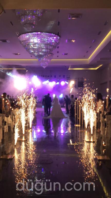 Zeytin Organizasyon