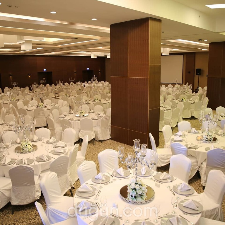 Düğün Dernek Organizasyon