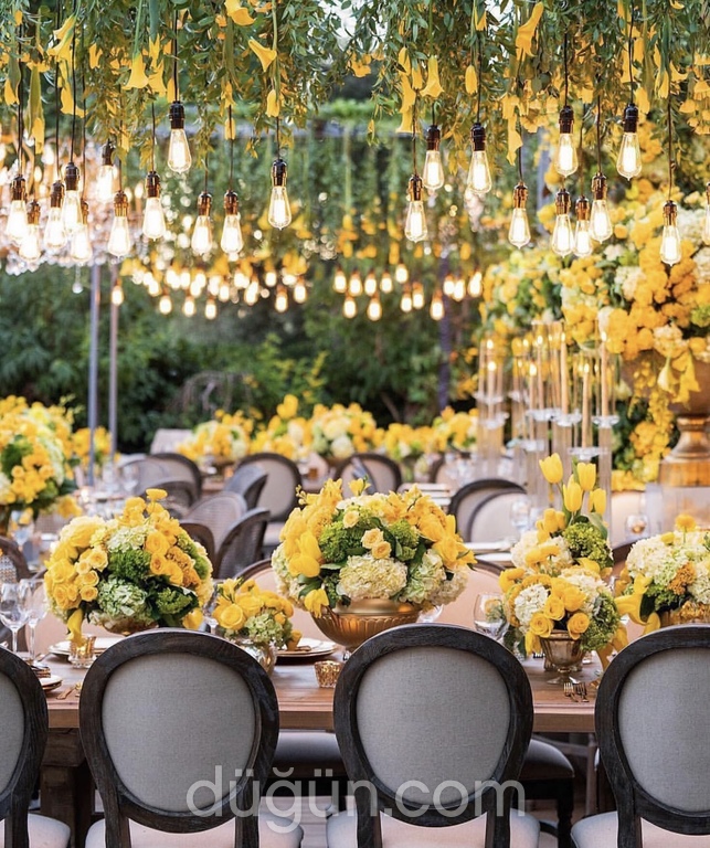 Sarı Renkte Dışarıda Nişan Konsepti