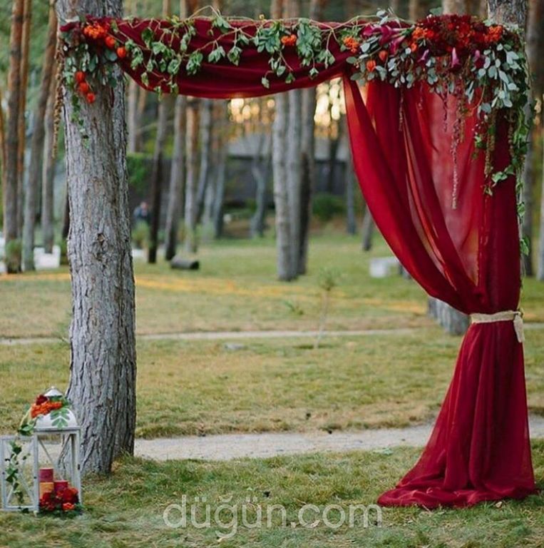 Matilda Organizasyon