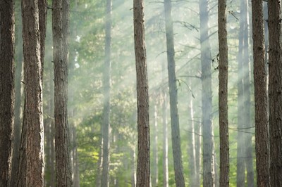 Hadi Mousavi Fotoğrafçılık