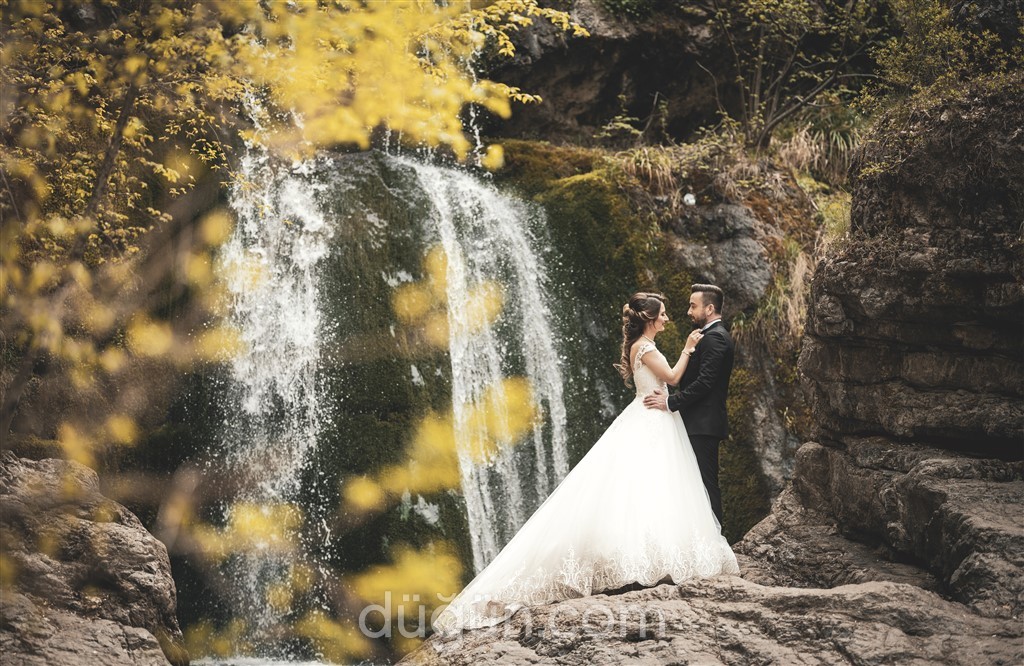 Hadi Mousavi Fotoğrafçılık