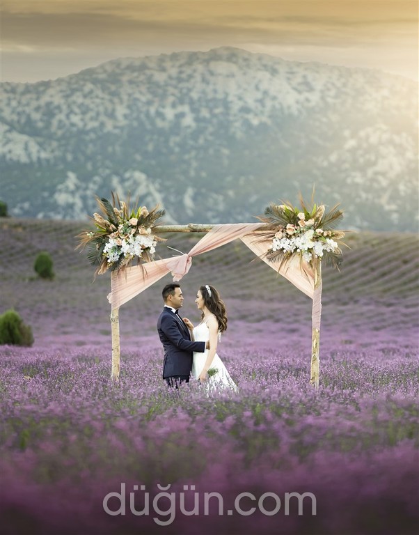 Hadi Mousavi Fotoğrafçılık