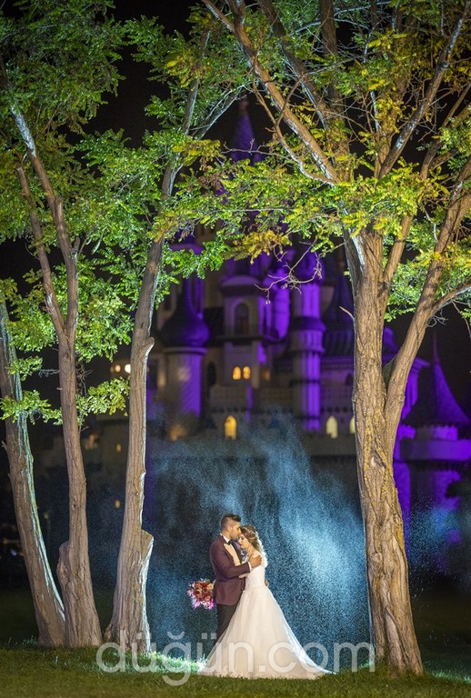 Hadi Mousavi Fotoğrafçılık