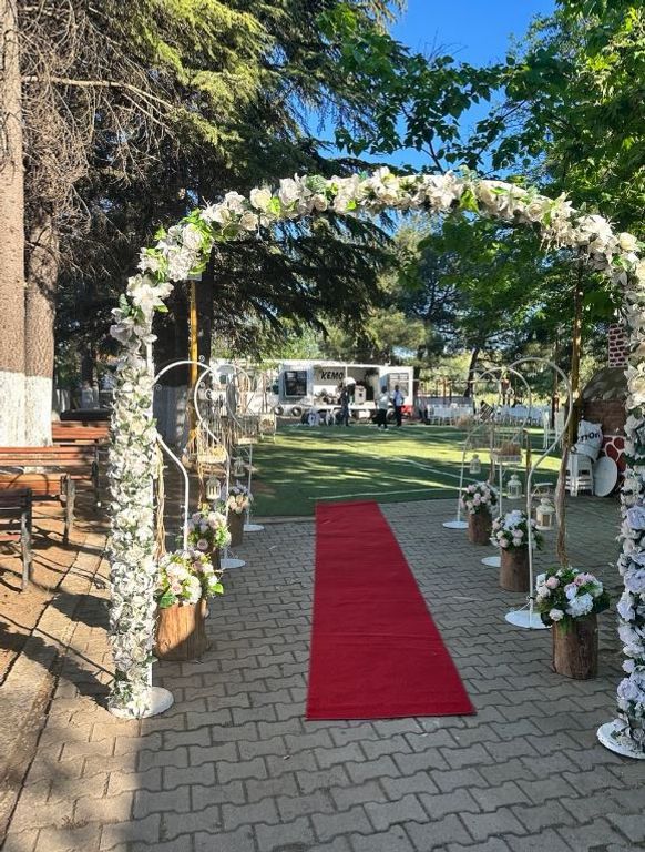 Ege Denizi Organizasyon