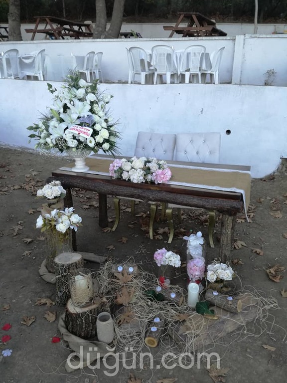 Ege Denizi Organizasyon