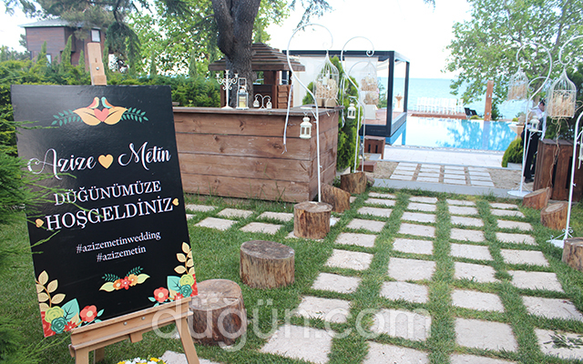 Ege Denizi Organizasyon