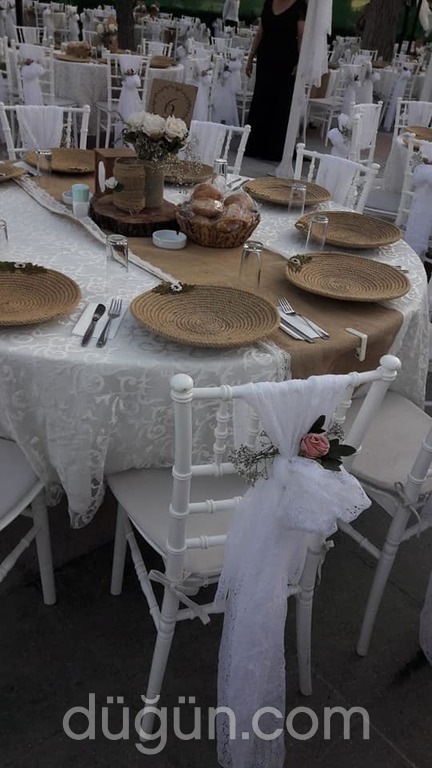 Ege Denizi Organizasyon