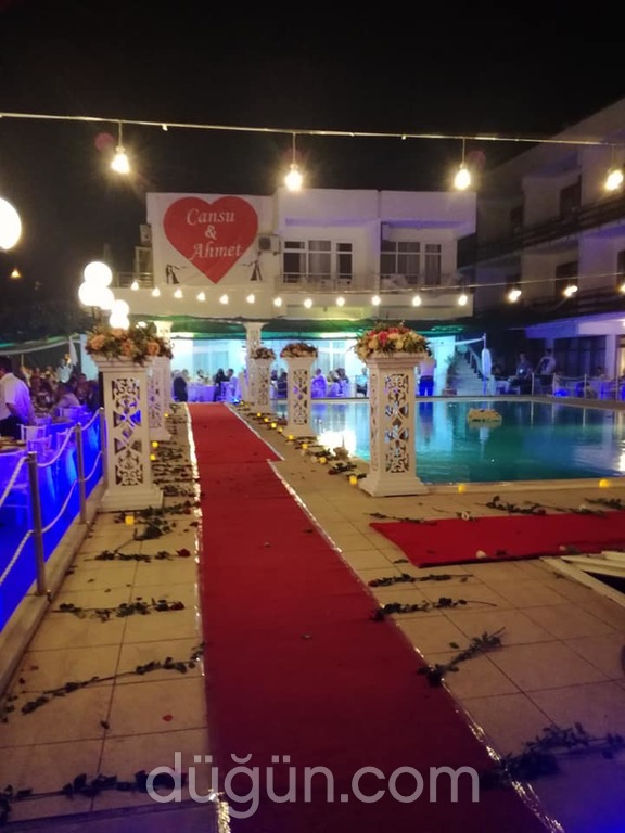 Ege Denizi Organizasyon