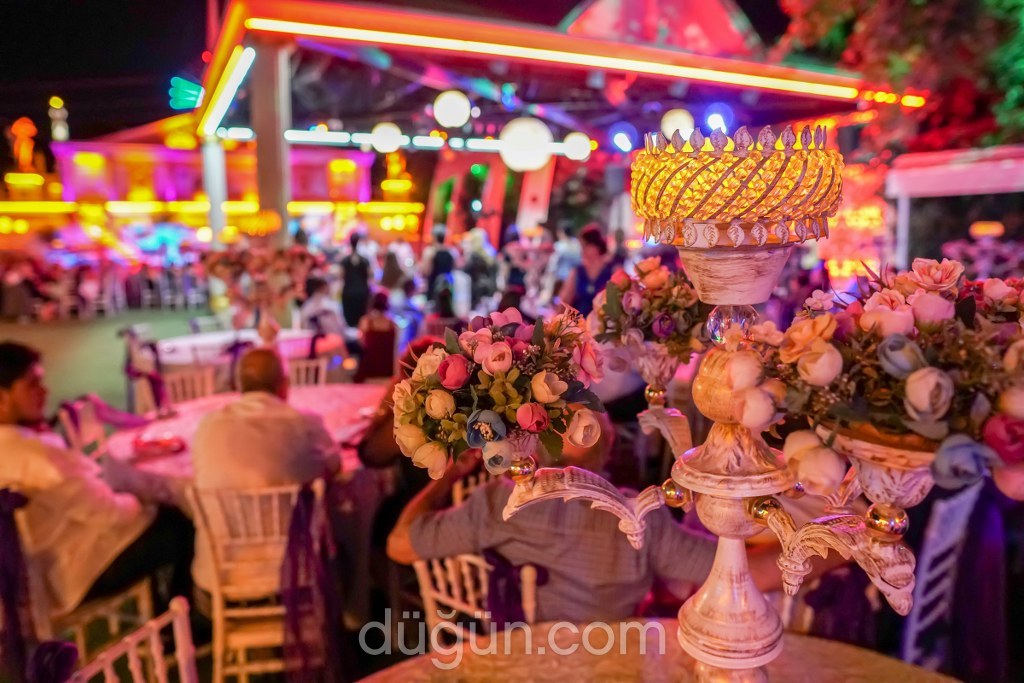 Aşiyan Artemis – Aşiyan Palmiye