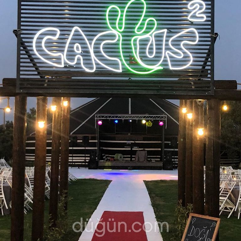 Cactus Garden Wedding & Event