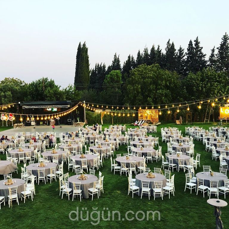 Cactus Garden Wedding & Event