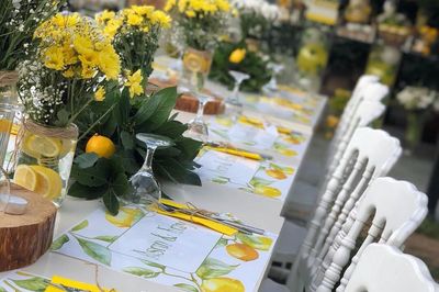 Pumpkin Organizasyon