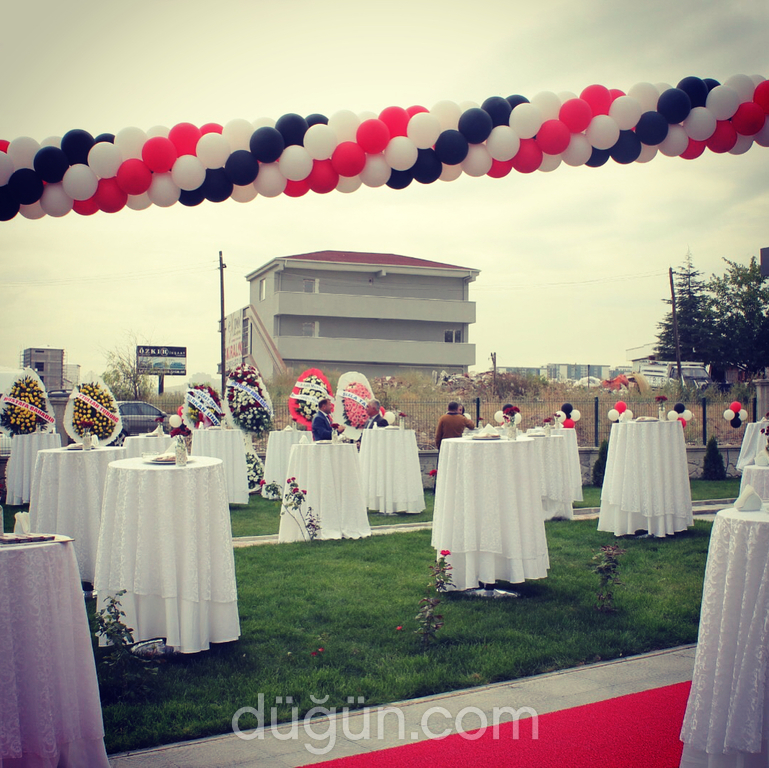 Pumpkin Organizasyon