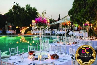 Alper Çelik Organization