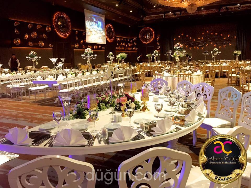 Alper Çelik Organization