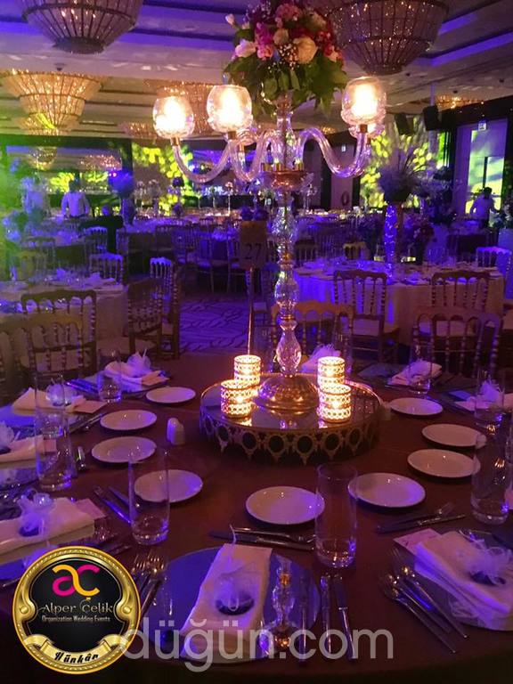 Alper Çelik Organization