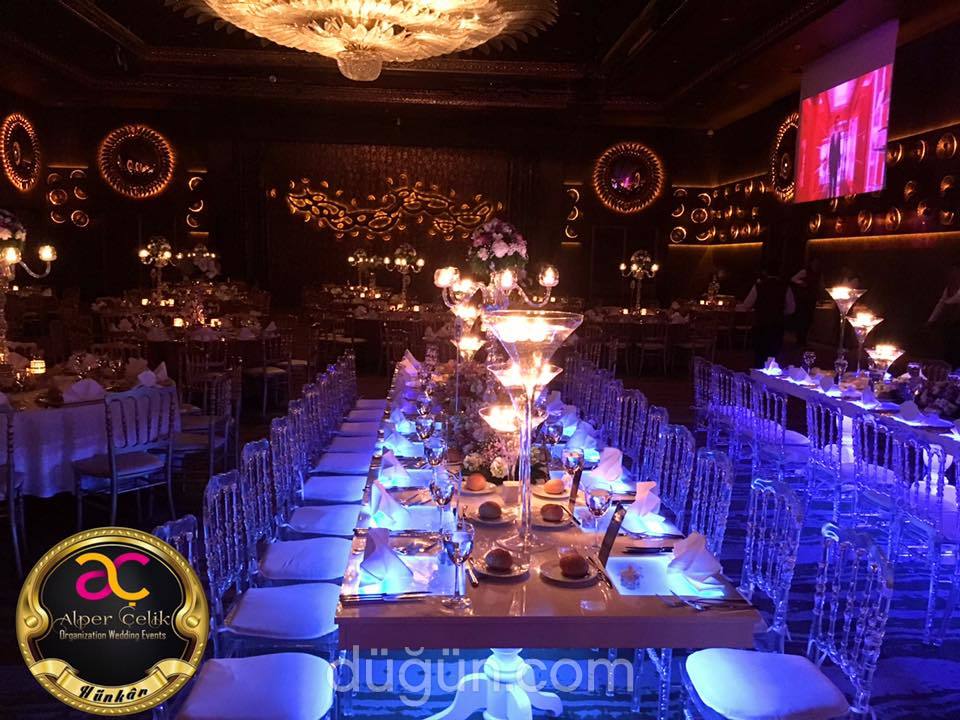 Alper Çelik Organization