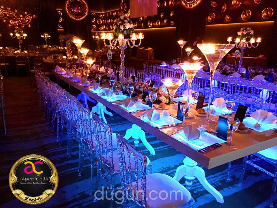 Alper Çelik Organization